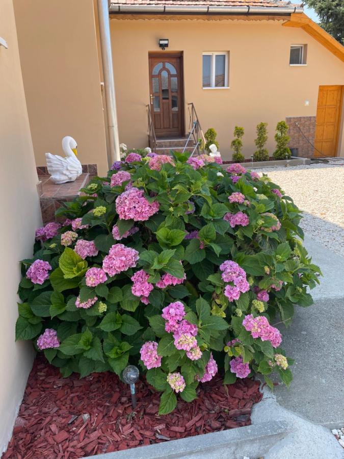 Toerpi Apartman Halmaj 外观 照片